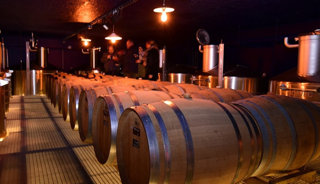 coulon cellar